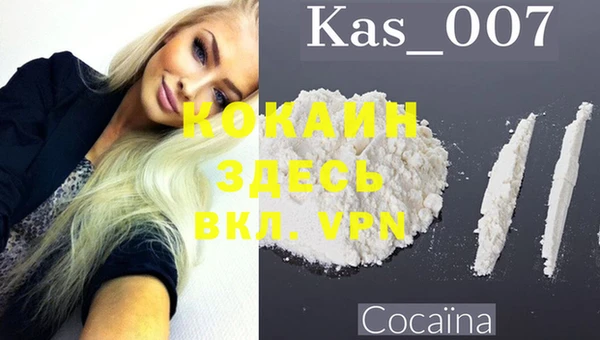 бошки Семилуки
