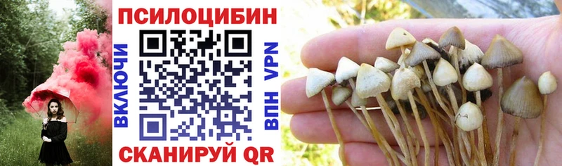 цены наркотик  Усинск  Псилоцибиновые грибы MAGIC MUSHROOMS 