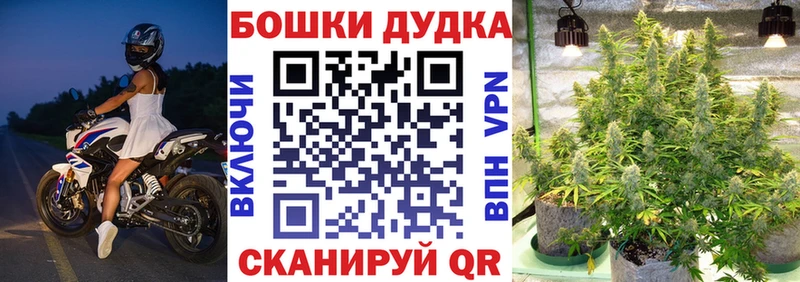 OMG tor  мориарти формула  Усинск  Каннабис Amnesia  что такое наркотик 
